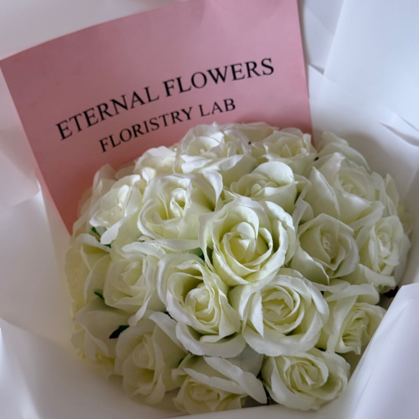 24 Cream Eternal Roses
