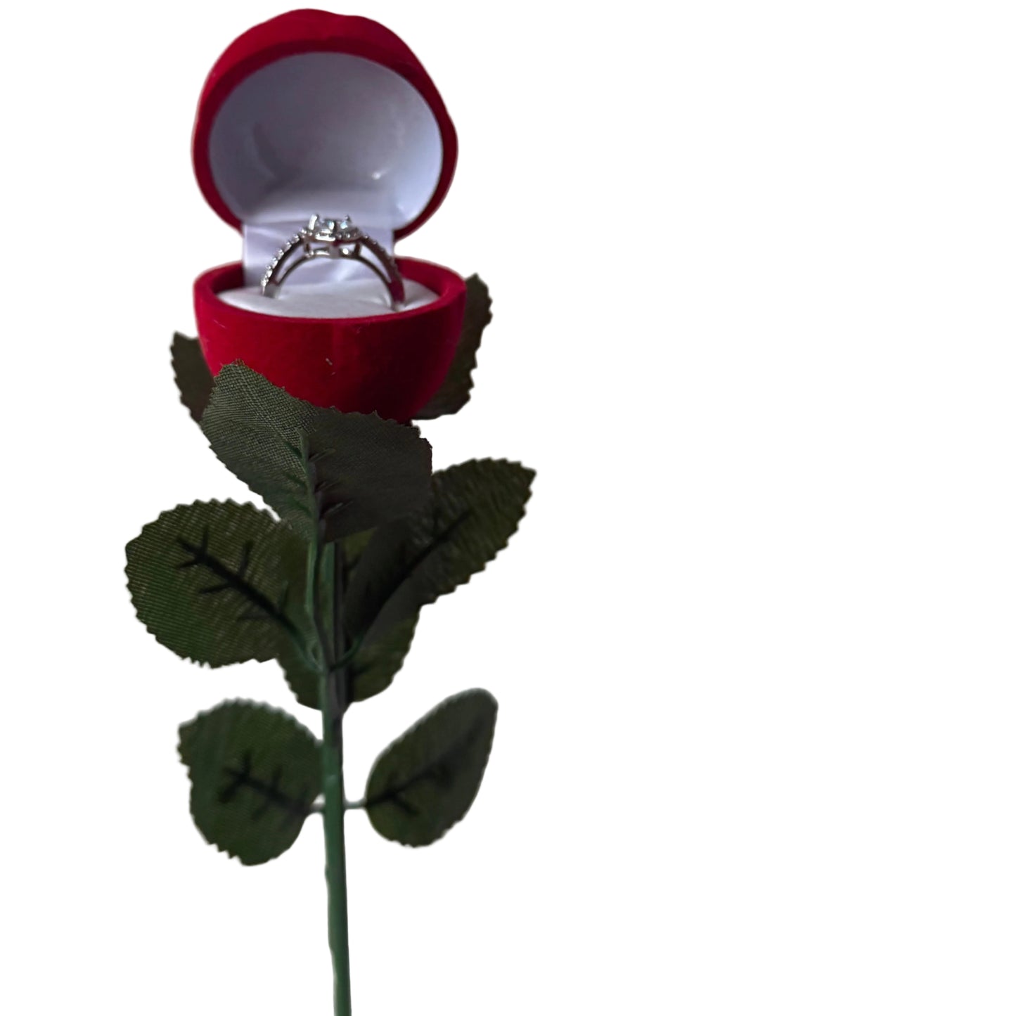 Red Eternal Rose Ring Box