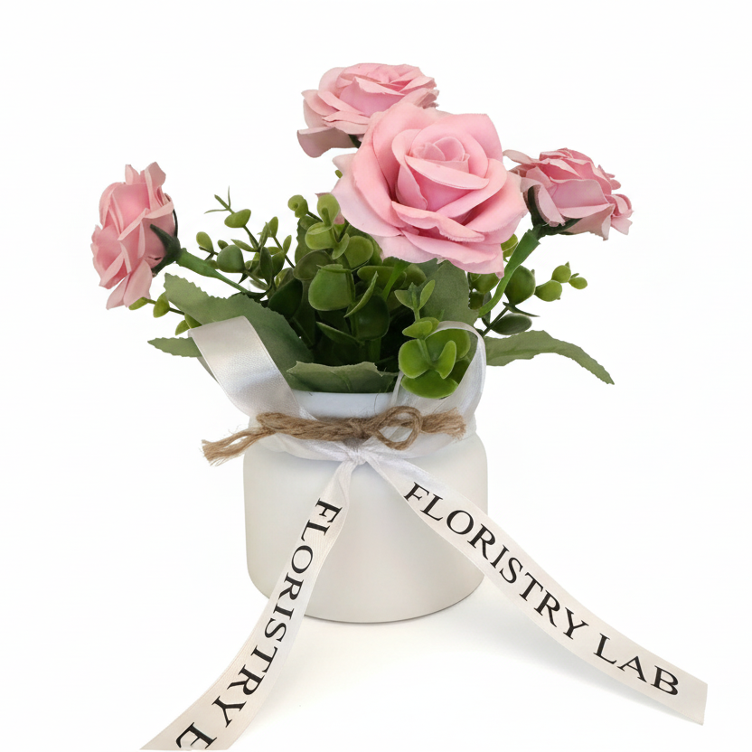 Mini Eternal Rose Plant