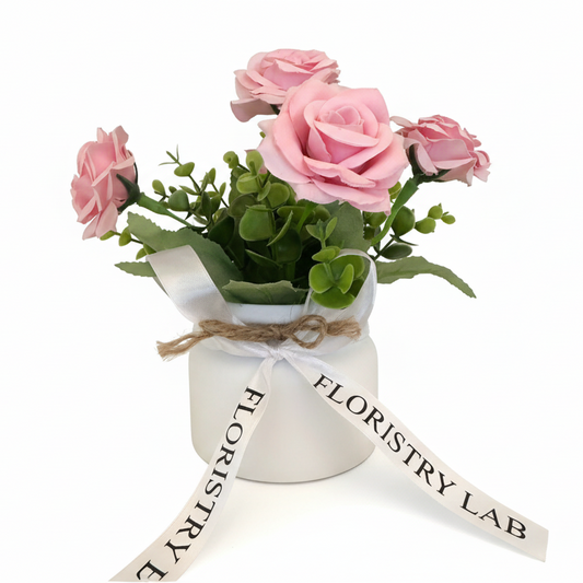 Mini Eternal Rose Plant