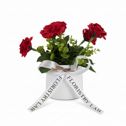 Mini Eternal Rose Plant