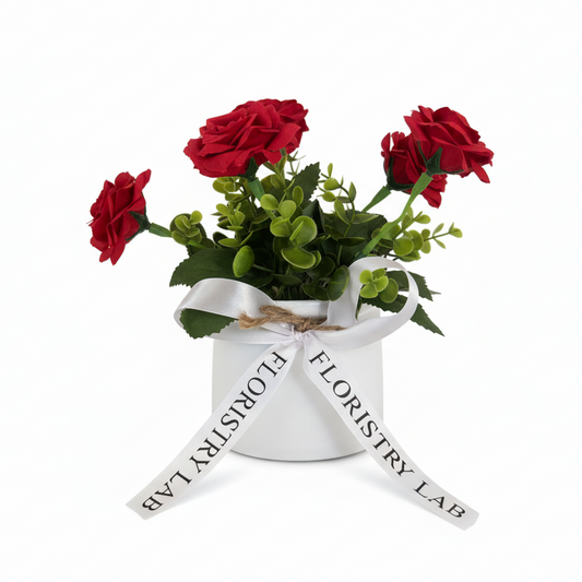 Mini Eternal Rose Plant